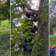 Na stromě uvízl dron i jeho mladý pilot