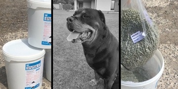 Dvacet tisíc korun za dopadení bestie z Milíkova