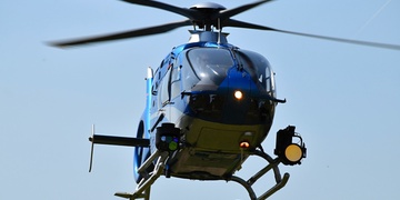 Pád stromu na muže