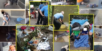 Plzeňský evergreen: Bezdomovci