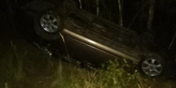 Pozor na zvířata u silnic