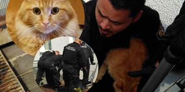 Zachránili jste Simbu, děkujeme moc, jste borci!