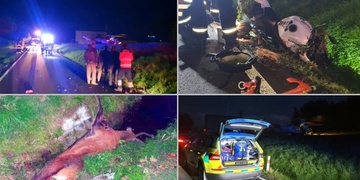 Střet motocyklu s jelenem - zvíře nepřežilo a život jezdce bojovali