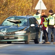 Muže s kulatinou smetlo a usmrtilo auto