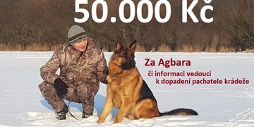 Majitelé Agiho se nevzdávají a znovu vás prosí o pomoc