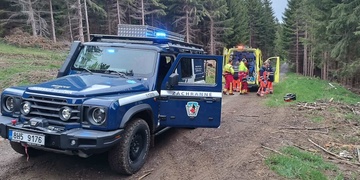 Muže vážně zranila padající část stromu