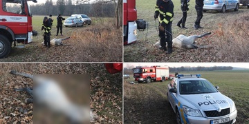 Poník se utopil v řece