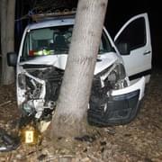 Těžce opilý řidič čelně narazil do stromu