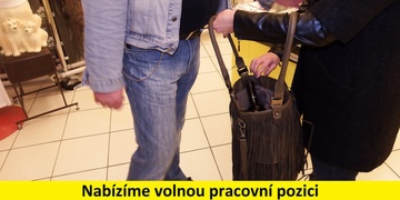 Volná pracovní pozice: Detektiv ve Freeshopu