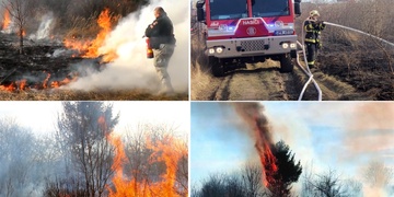 Žhář na Borských polích znovu udeřil
