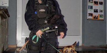 Policejní razie na Americké