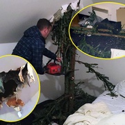 Strom probodl střechu hotelu a zabodl se jako kopí vedle spícího muže