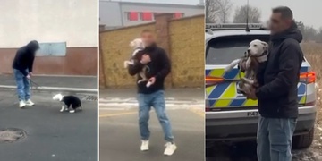 Svědkyně upozornila na možné týrání štěněte