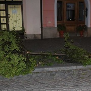 Zapomněl na spojku a pokácel strom