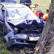 Řidič zemřel po nárazu do stromu