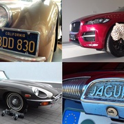 Autosalon Dajbych přiváží do Plzně Jaguáry