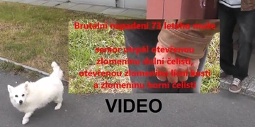 Prosba zbitého starého pána – moc prosím, pomozte mi!