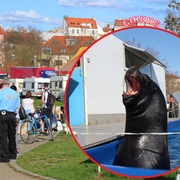 Závěr demonstrace: Cirkusáci dali vodu psům demonstrantů