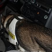 Zdrogovaný řidič ujížděl policistům a následně boural
