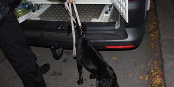 Pes nepustil záchranáře ke zraněnému opilci