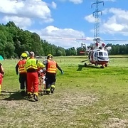 Kůň pokopal mladou ženu a vážně ji zranil