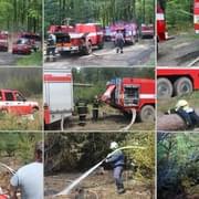 Lesní požár u Plzně - byl vyhlášen druhý stupeň požárního poplachu
