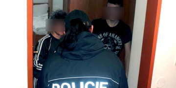 Vykradl mu postel - ano, čtete opravdu dobře