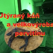 Boží mlýny? Smrt koně mu možná projde, drogy ale ne!