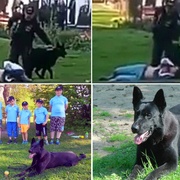 Morgan - agresivní nevychovanec a nebo skvělý parťák i kámoš dětí?