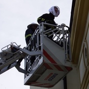 Vosy ohrožovaly návštěvníky i úředníky ÚMO Plzeň 3