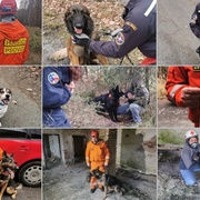 Záchrana vašeho života může přiběhnout i po čtyřech
