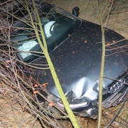Pes vběhl přímo před auto a to po střetu vyletělo ze silnice