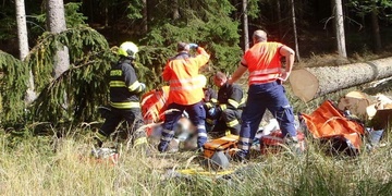 Muž tragicky zemřel v lese