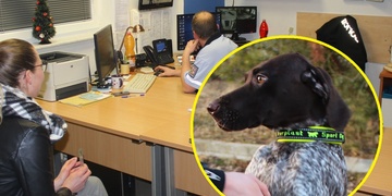 Travička z Lochotína se pokusila zabít dalšího psa. Nyní jed podala štěněti!