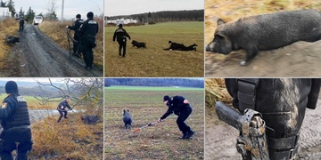 „Blbý! Blbý! Prase jedno blbý!“