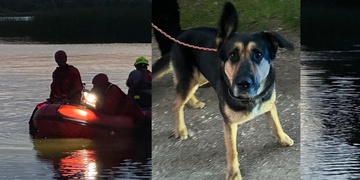 Muž se šel vykoupat do Boleváku se svou fenkou, ta se ale po chvíli vrátila sama a muž se stále pohřešuje