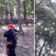 Paraglidista zůstal viset ve větvích