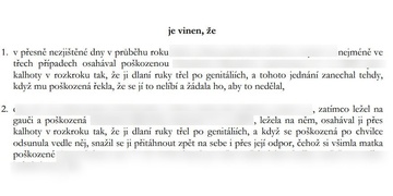 "I masoví vrazi mají otcovská práva," řekl ženě soud