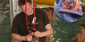 Někdo se jezdí na bazén koupat, někdo chytat netopýry