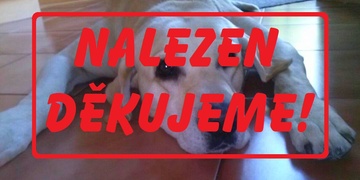 Pomozte najít psího dědečka Baka - NALEZEN!