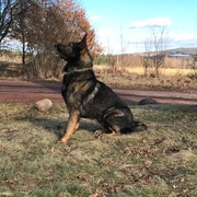 Dealer před Taronem utekl až na střechu