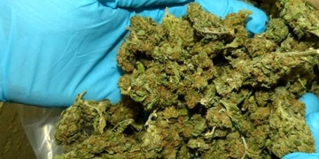 Policisté OOP Přeštice odhalili za týden 5 osob s drogami