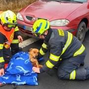 Sraženého psa museli zpod auta vyprostit hasiči