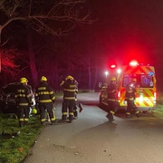 Opilý řidič nezvládl řízení a s autem narazil do stromu