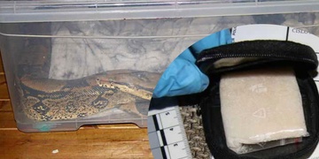 Pervitin schovával u hada