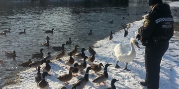 Spodky z Afganistánu, zvířecí kámoši i zajištění agresivního opilce