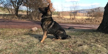 Dealer před Taronem utekl až na střechu