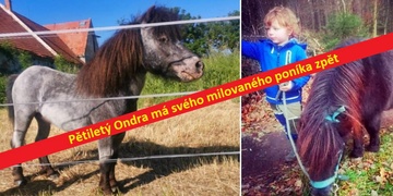 Pětiletý Ondra má svého milovaného poníka zpět. Děkujeme všem za sdílení!