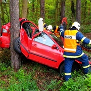Auto se doslova zaseklo do stromu