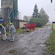 Kvůli ptačí chřipce bude za chvíli utraceno dvacet sedm tisíc kusů drůbeže